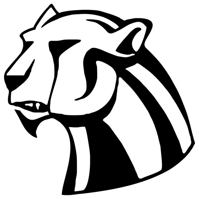 640x640 Black Panther Head Art Design Car Sticker Base Car Packaging