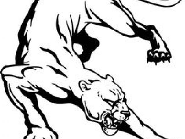 640x480 Panther Clipart Line Drawing