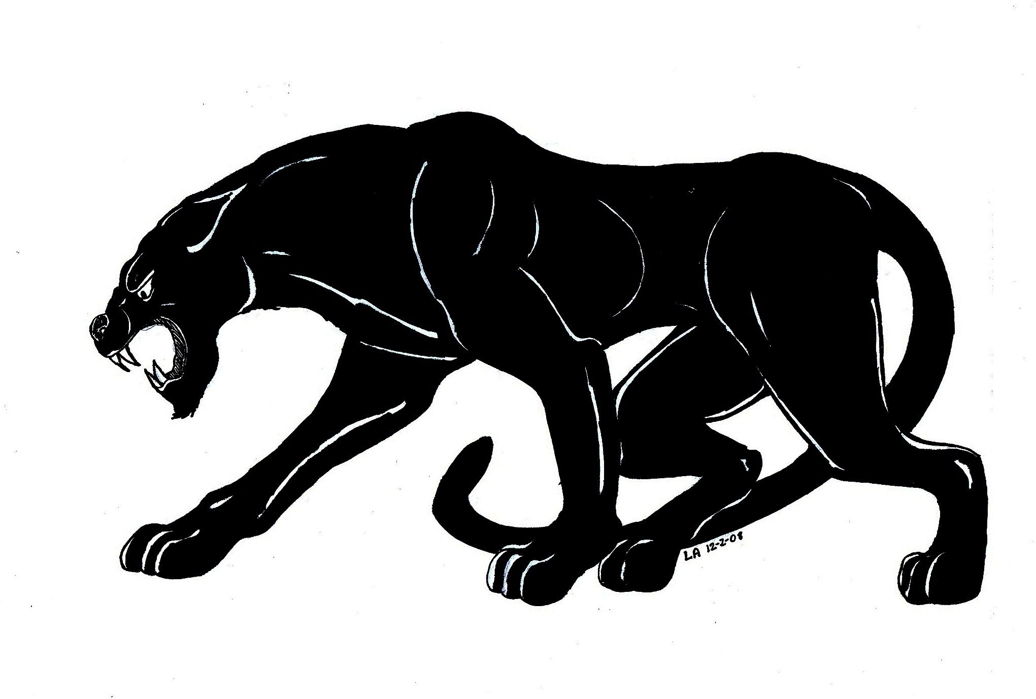 Panther Pencil Drawing