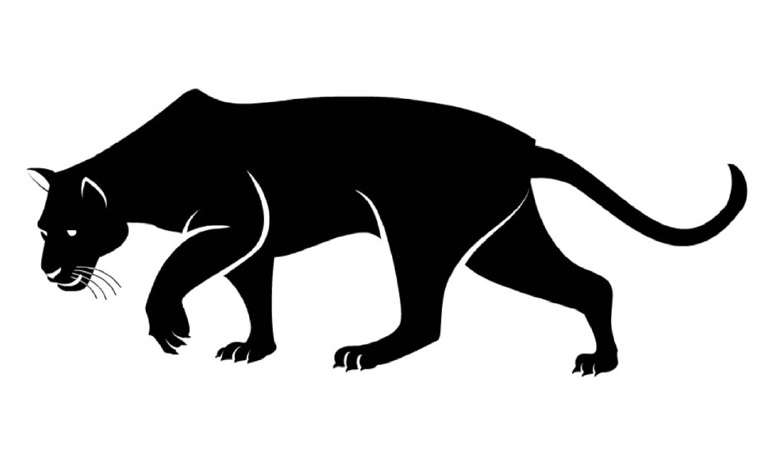 2581x1549 Collection Of 'panther Drawing Images' Download More Than