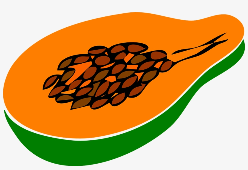 820x561 Papaya Drawing Clip Art Download
