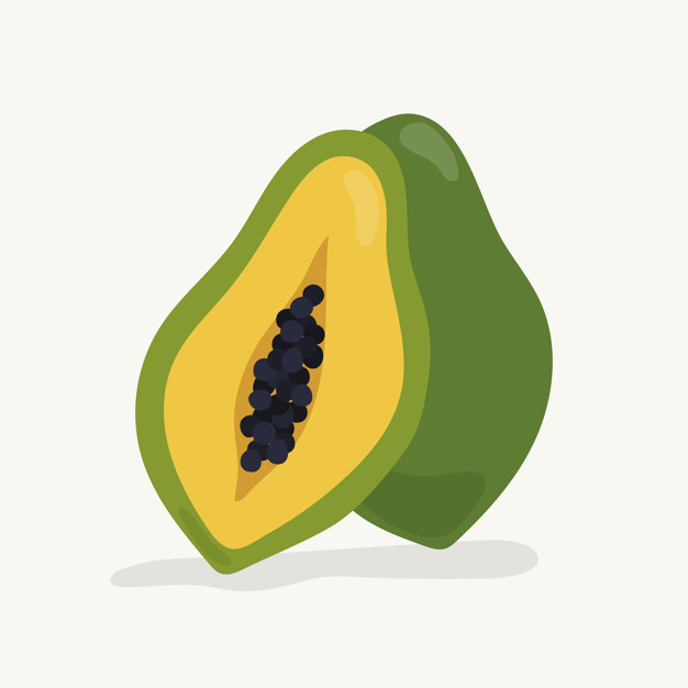 626x626 Papaya Drawing Image