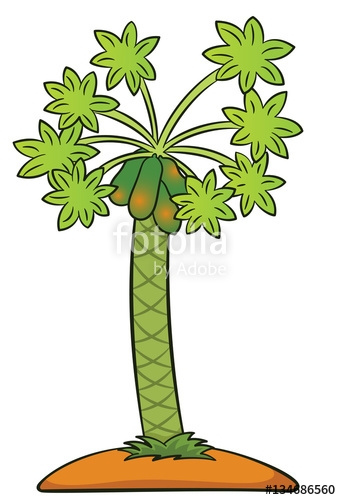 341x500 Papaya Tree With Ripe Fruits Cartoon Illustration Isolated