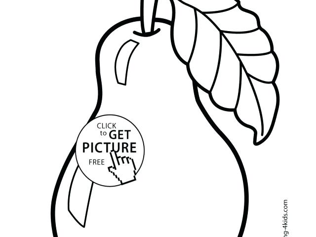 640x480 Fruit Sketches For Coloring