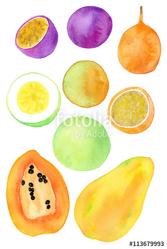 336x500 Exotic Fruits Illustration Hand Drawn Set Of Fruit