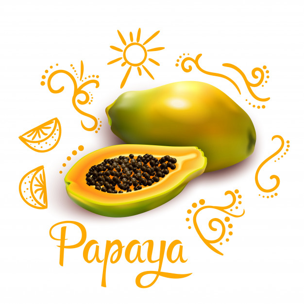 626x626 Papaya Vectors, Photos And Free Download