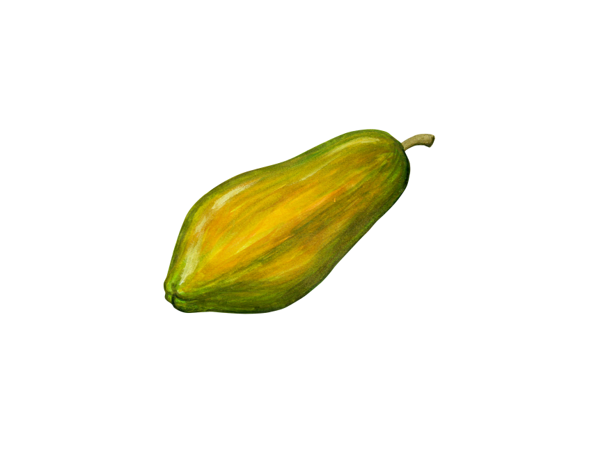 866x650 Papayas Transparent Png Image