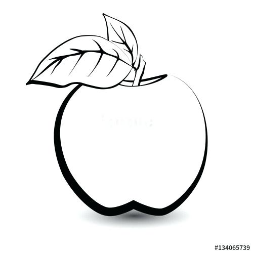 500x500 Fruit Sketches For Coloring