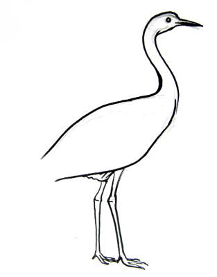 313x400 How To Draw A Crane Bird