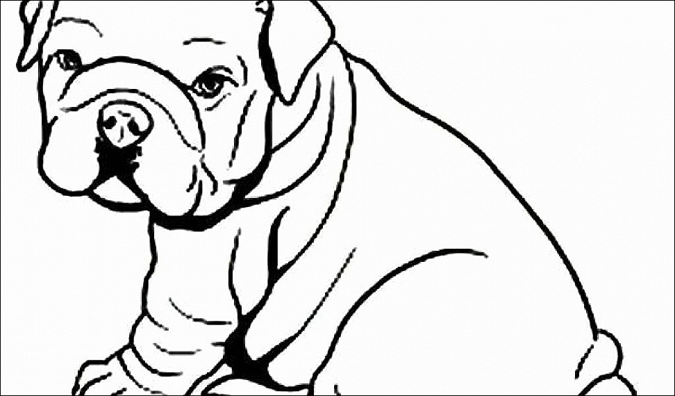 972x570 Coloring Pictures Of American Girl Dolls Printable Apples Pony