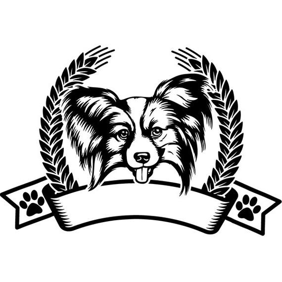 570x570 Papillon Happy Paws Dog Breed Pedigree Canine Purebred K Etsy