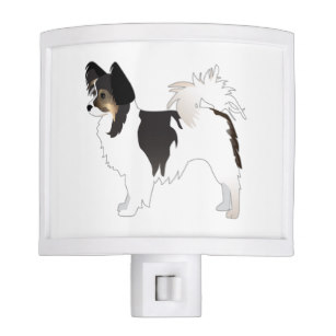 307x307 Papillon Night Lights Zazzle