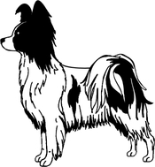 175x189 Papillon Sticker