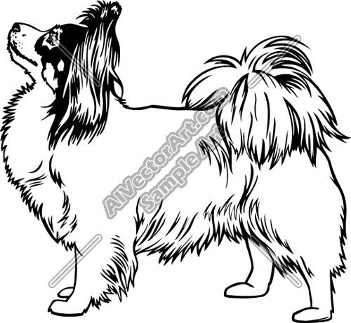 500x461 papillon dog papillon papillon dog, dog artwork, dog art