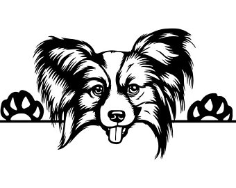 340x270 Papillon Drawing Etsy