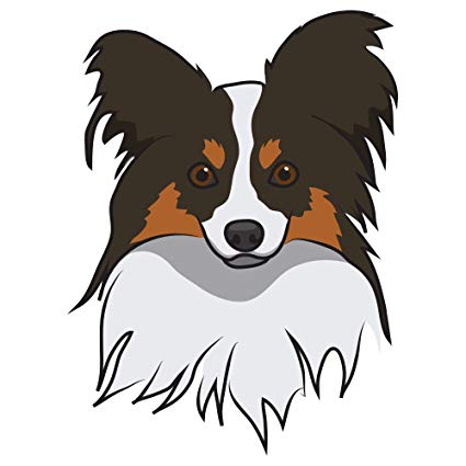 425x425 Signmission Papillon Decal Indooroutdoor Dog