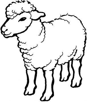 305x359 Parable Of The Good Shepherd Drawing Farm Animal Coloring