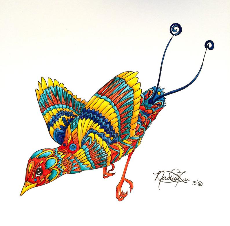 794x781 Cicinnurus Regis Bird Of Paradise Bird Illustration Etsy