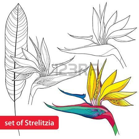 450x450 Drawings Dibujos, Dibujos