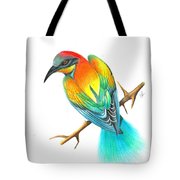 180x180 Bird Of Paradise Drawing Drawing