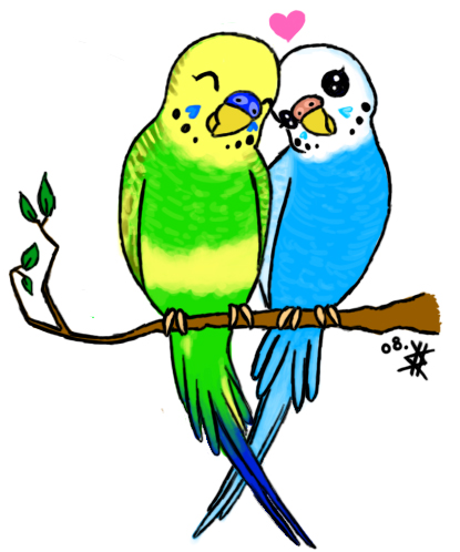 415x498 How To Draw A Cartoon Parakeet