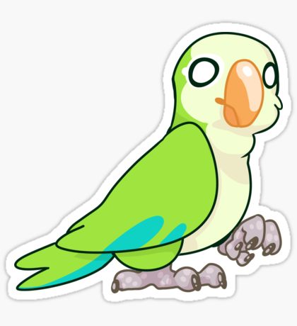 420x460 Monk Parakeet Clipart