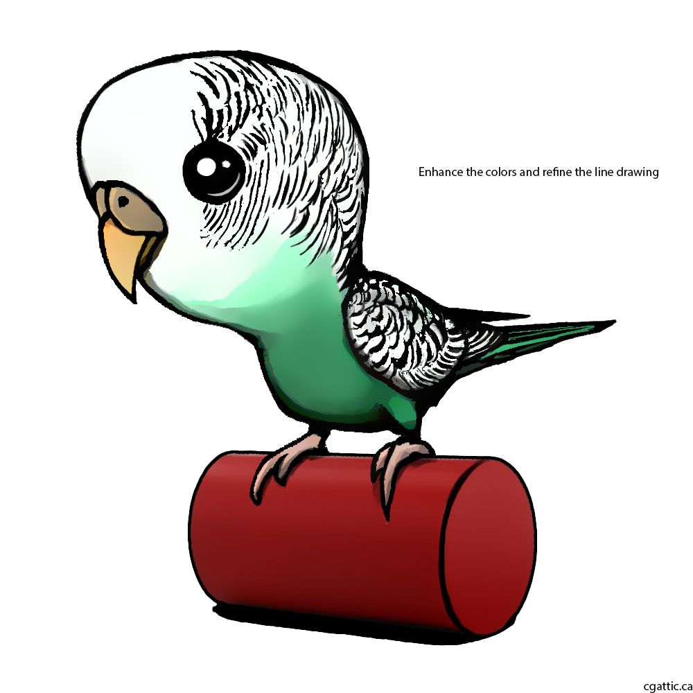 1000x1000 Parakeet Cartoon Drawing In Steps With Photoshop