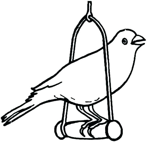 600x579 Parakeet Coloring Pages