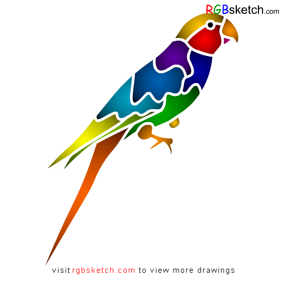 550x550 How To Draw Carolina Parakeet