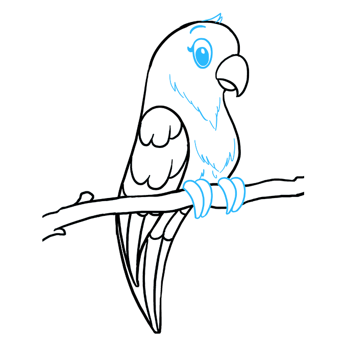 680x678 collection of free parakeet drawing line download on ui ex