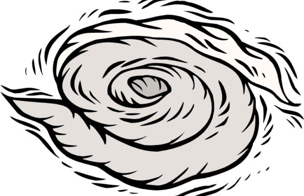 620x400 Hurricane Parking Lot