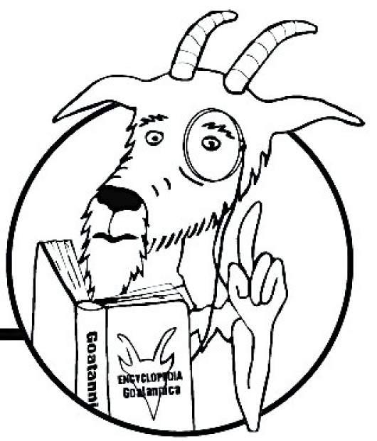 530x620 quandary overnight parking in summit county