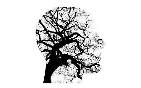 477x300 Suicide Prevention In Scotland