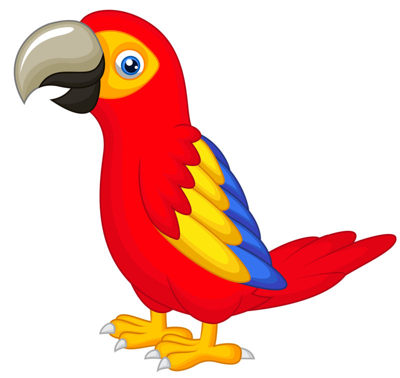800x755 Parrots Drawing Ink Huge Freebie! Download For Powerpoint