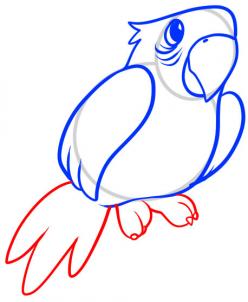 248x302 How To Draw How To Draw A Parrot For Kids