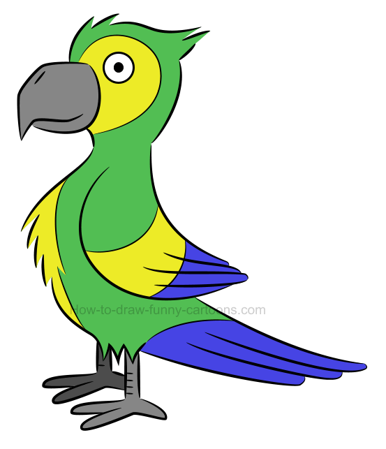 553x643 Parrot, Drawing, Bird, Transparent Png Image Clipart Free Download