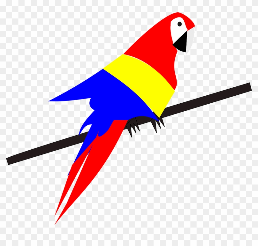 840x800 Parrot Bird Exotic Tropical