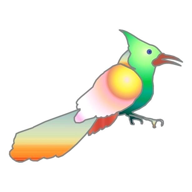 615x615 Parrot Drawing Pictures Parrot Drawing Images Step