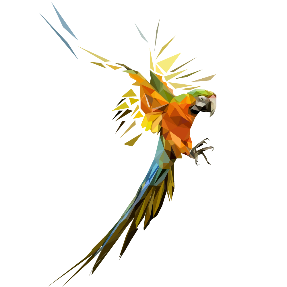 1000x1000 Budgie Drawing Painting Transparent Png Clipart Free Download