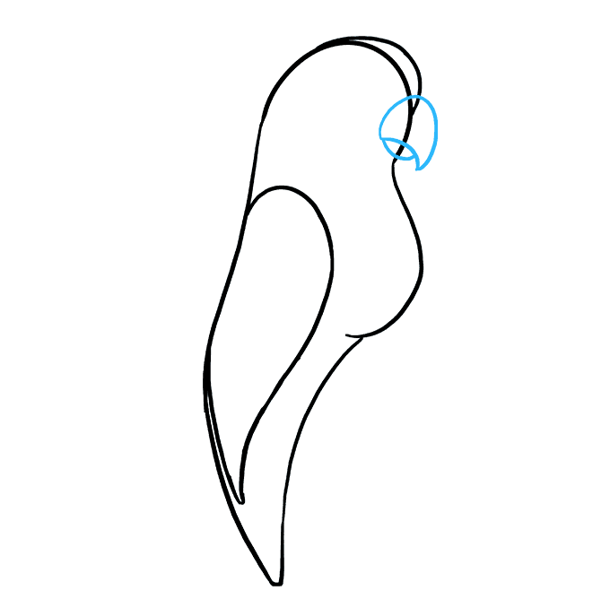 680x678 How To Draw A Parrot