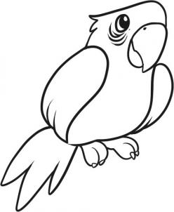 248x302 How To Draw How To Draw A Parrot For Kids