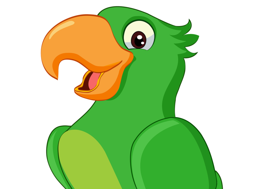 900x619 Parrot, Drawing, Illustration, Transparent Png Image Clipart