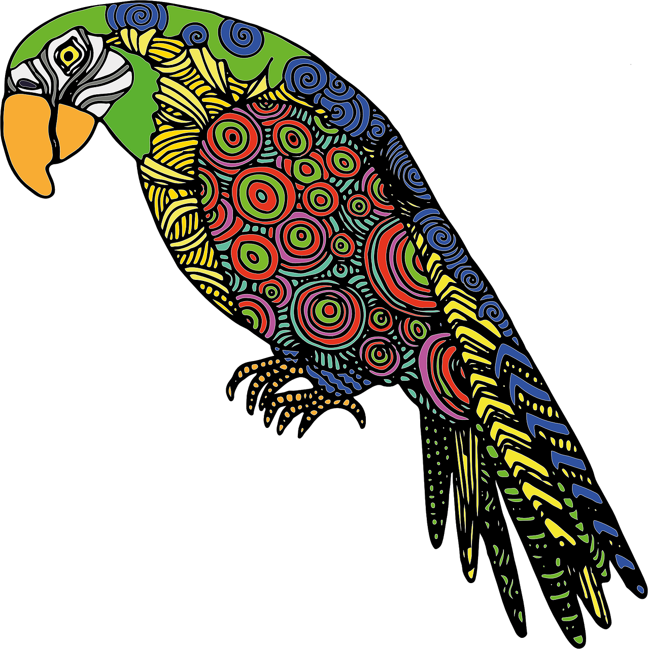 1277x1280 Parrot Bird Colored Drawing Png