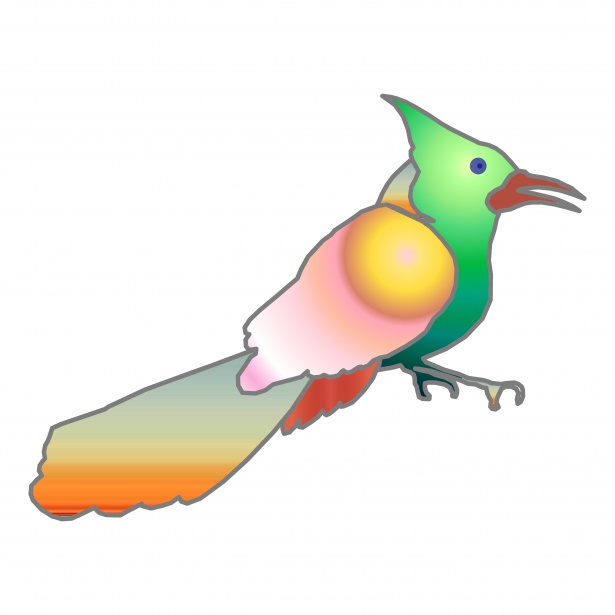 615x615 Parrot Drawing Free Stock Photo