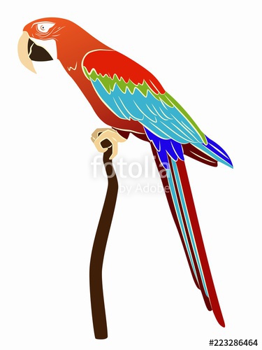 375x500 Illustration Of A Parrot Vector Drawing Stock Image And Royalty