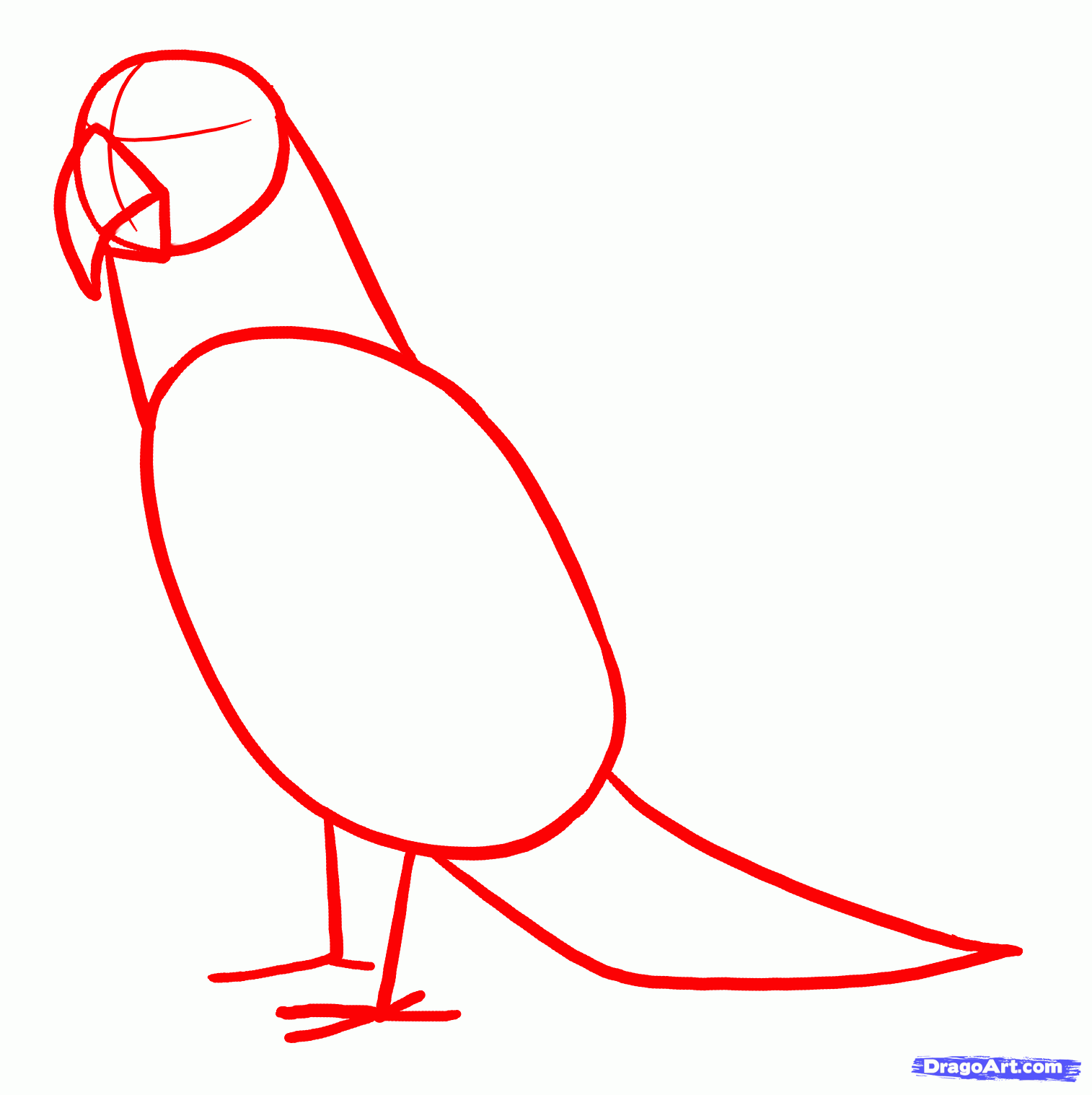 1514x1518 How To Draw Parrots, Draw Macaws, Step
