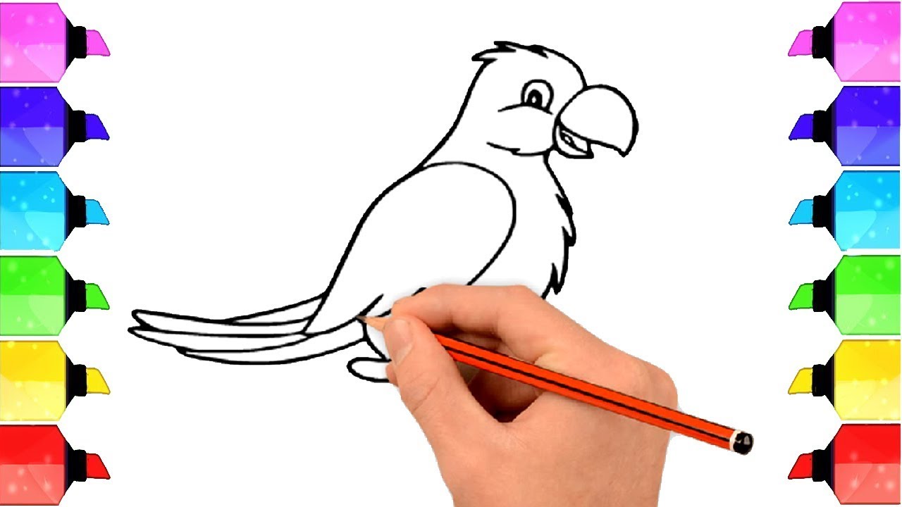 1280x720 How To Draw Parrot In Easy Steps For Children Beginners