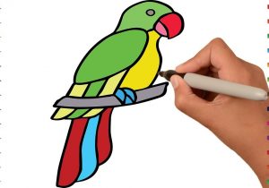 Parrot Drawing Easy | Free download on ClipArtMag