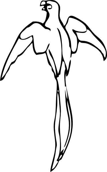 372x596 Collection Of Free Parrot Drawing Easy Download On Ui Ex