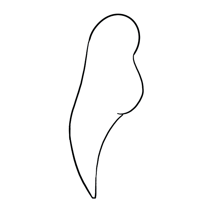 680x678 How To Draw A Parrot